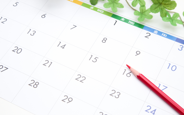 画像：サンプル