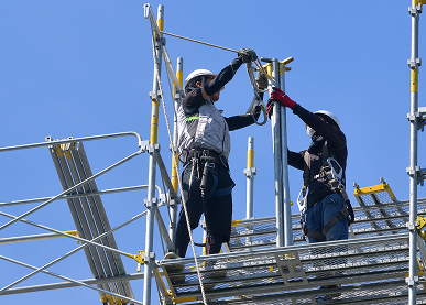 画像：サンプル